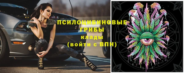 mdpv Алзамай