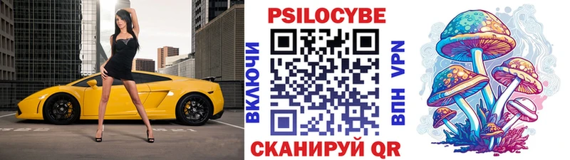 Галлюциногенные грибы прущие грибы купить наркотик Тайшет